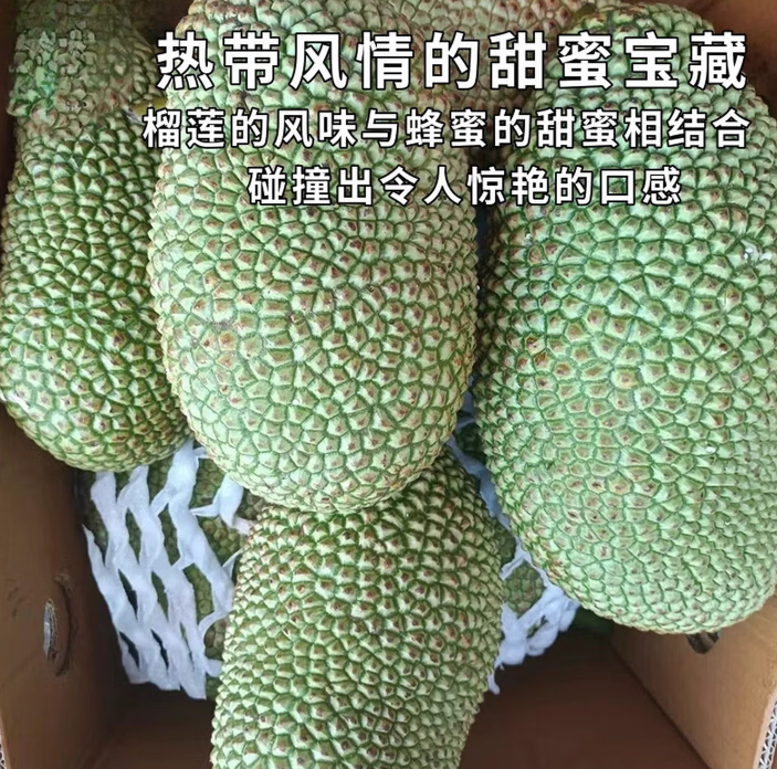 顺丰空运云南西双版纳榴莲蜜新鲜当季热带香甜小个菠萝蜜带壳软糯 0g 香甜2斤左右 空运特快 软了再切