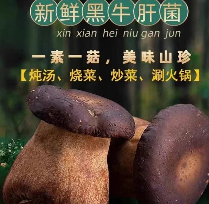 美味牛肝菌新鲜云南版纳特产干牛肝菌新鲜菌菇类蘑菇野生菌煲汤料 空运 300g