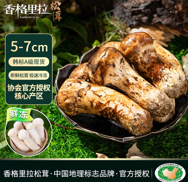 香格里拉松茸云南鲜冻野生松茸【5-7cm】净重1斤送礼滋补煲汤火锅食材源头直发